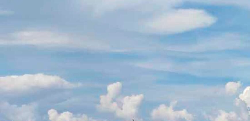 Fazenda com 25 mil hectares em Área Rural de Araxá – Araxá – MG Fazenda com 25 mil hectares em Área Rural de Araxá – Araxá – MG