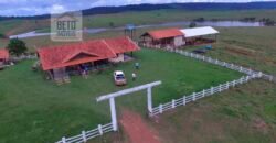 Fazenda com 25 mil hectares em Área Rural de Araxá – Araxá – MG Fazenda com 25 mil hectares em Área Rural de Araxá – Araxá – MG