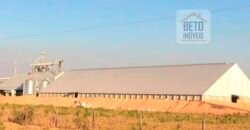 Fazenda Dupla Aptidão, 39.000 hectares no norte de Mato Grosso Fazenda Dupla Aptidão, 39.000 hectares no norte de Mato Grosso