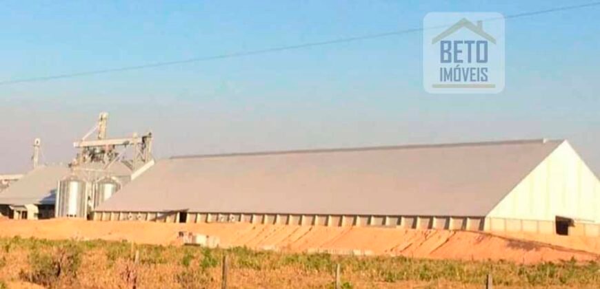 Fazenda Dupla Aptidão, 39.000 hectares no norte de Mato Grosso Fazenda Dupla Aptidão, 39.000 hectares no norte de Mato Grosso