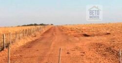 Fazenda Dupla Aptidão, 39.000 hectares no norte de Mato Grosso Fazenda Dupla Aptidão, 39.000 hectares no norte de Mato Grosso