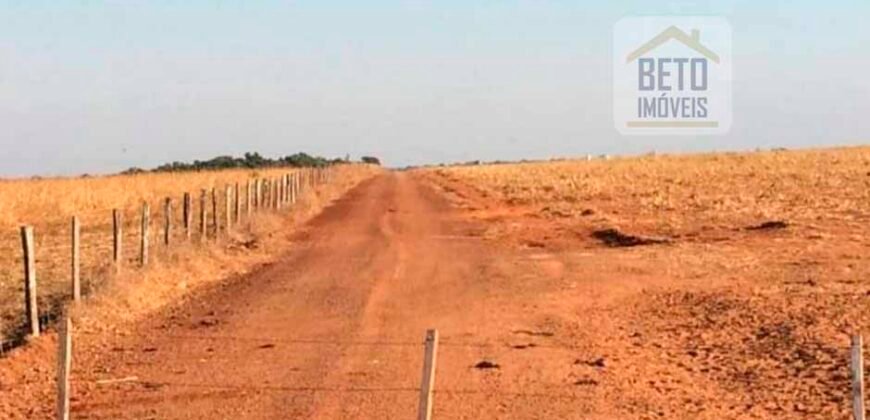 Fazenda Dupla Aptidão, 39.000 hectares no norte de Mato Grosso Fazenda Dupla Aptidão, 39.000 hectares no norte de Mato Grosso