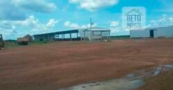 Fazenda Dupla Aptidão, 39.000 hectares no norte de Mato Grosso Fazenda Dupla Aptidão, 39.000 hectares no norte de Mato Grosso