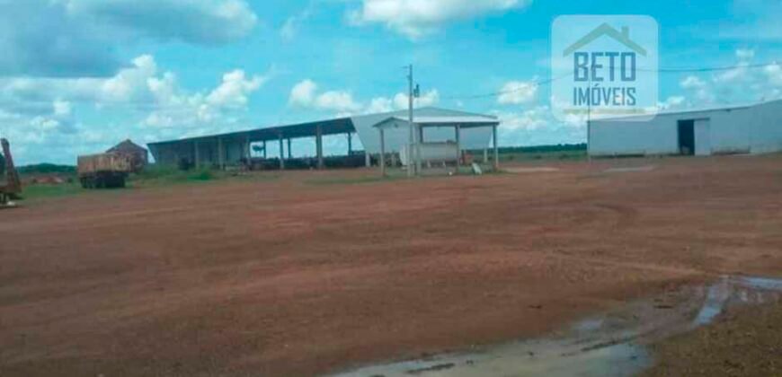 Fazenda Dupla Aptidão, 39.000 hectares no norte de Mato Grosso Fazenda Dupla Aptidão, 39.000 hectares no norte de Mato Grosso