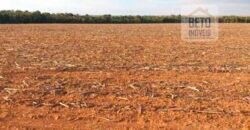 Fazenda Dupla Aptidão, 39.000 hectares no norte de Mato Grosso Fazenda Dupla Aptidão, 39.000 hectares no norte de Mato Grosso