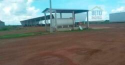 Fazenda Dupla Aptidão, 39.000 hectares no norte de Mato Grosso Fazenda Dupla Aptidão, 39.000 hectares no norte de Mato Grosso