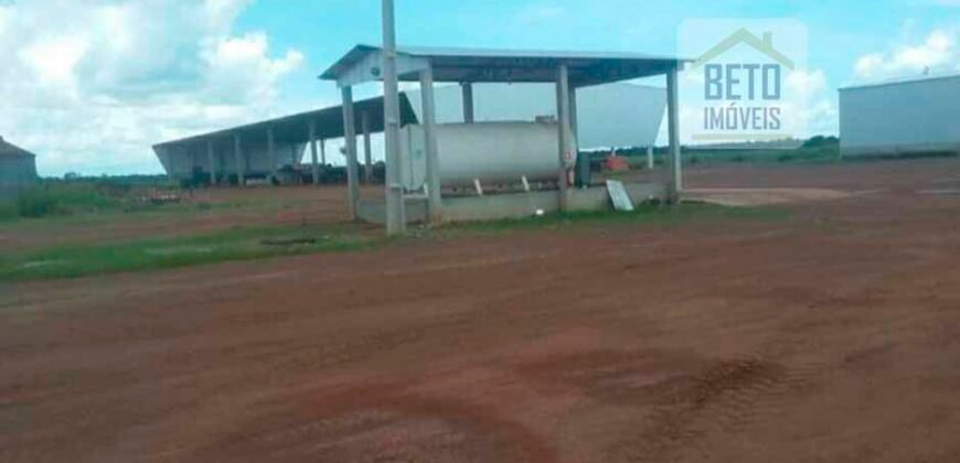 Fazenda Dupla Aptidão, 39.000 hectares no norte de Mato Grosso Fazenda Dupla Aptidão, 39.000 hectares no norte de Mato Grosso