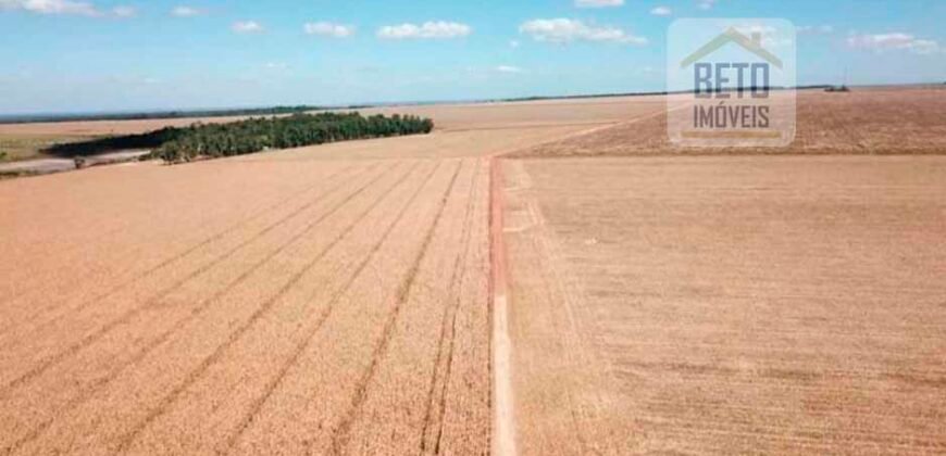 Fazenda Dupla Aptidão, 39.000 hectares no norte de Mato Grosso Fazenda Dupla Aptidão, 39.000 hectares no norte de Mato Grosso