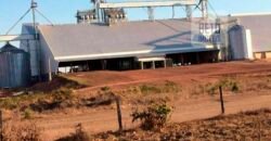 Fazenda Dupla Aptidão, 39.000 hectares no norte de Mato Grosso Fazenda Dupla Aptidão, 39.000 hectares no norte de Mato Grosso