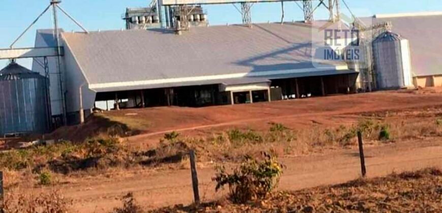 Fazenda Dupla Aptidão, 39.000 hectares no norte de Mato Grosso Fazenda Dupla Aptidão, 39.000 hectares no norte de Mato Grosso