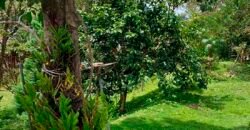 Fazenda/Sítio à Venda, 7000 m² em Sodrelândia | Trajano de Moraes/ RJ