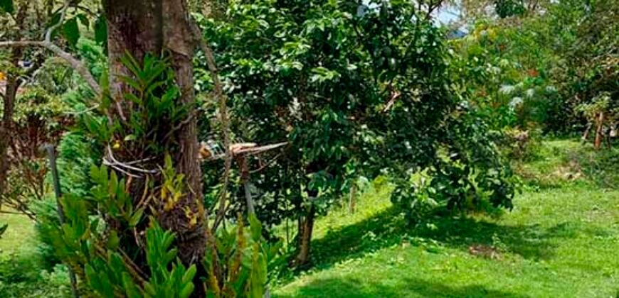 Fazenda/Sítio à Venda, 7000 m² em Sodrelândia | Trajano de Moraes/ RJ