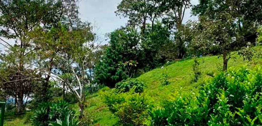 Fazenda/Sítio à Venda, 7000 m² em Sodrelândia | Trajano de Moraes/ RJ