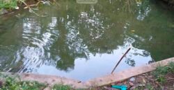 Fazenda/Sítio à Venda, 7000 m² em Sodrelândia | Trajano de Moraes/ RJ