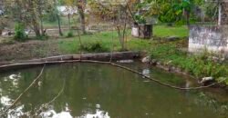 Fazenda/Sítio à Venda, 7000 m² em Sodrelândia | Trajano de Moraes/ RJ