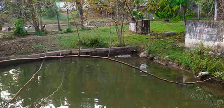 Fazenda/Sítio à Venda, 7000 m² em Sodrelândia | Trajano de Moraes/ RJ