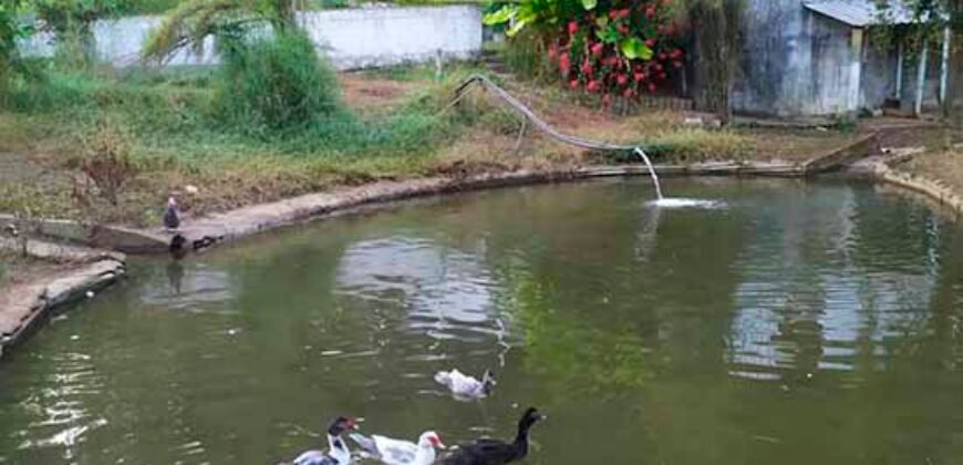 Fazenda/Sítio à Venda, 7000 m² em Sodrelândia | Trajano de Moraes/ RJ