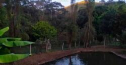 Fazenda/Sítio à Venda, 7000 m² em Sodrelândia | Trajano de Moraes/ RJ