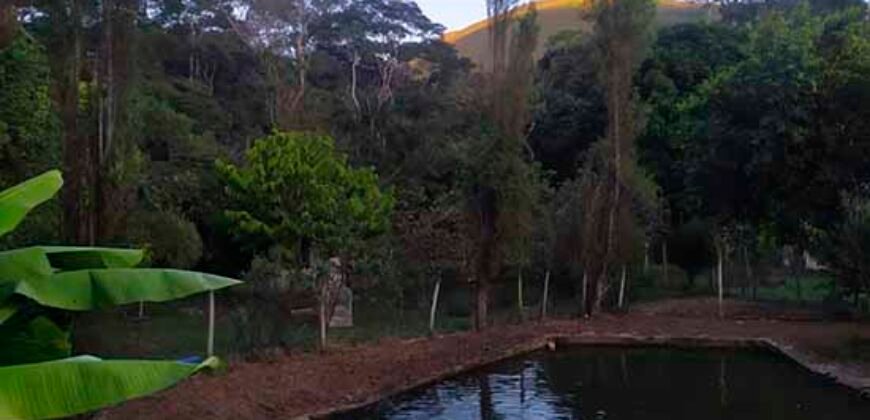 Fazenda/Sítio à Venda, 7000 m² em Sodrelândia | Trajano de Moraes/ RJ