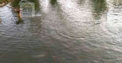 Fazenda/Sítio à Venda, 7000 m² em Sodrelândia | Trajano de Moraes/ RJ