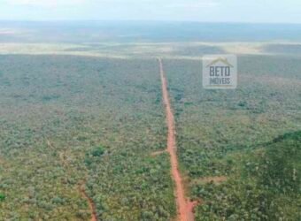 Fazenda Dupla Aptidão na zona rural de Fortaleza dos Nogueiras – MA Fazenda Dupla Aptidão na zona rural de Fortaleza dos Nogueiras – MA