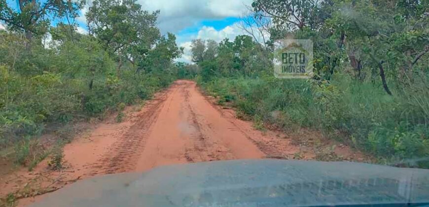 Fazenda Dupla Aptidão na zona rural de Fortaleza dos Nogueiras – MA