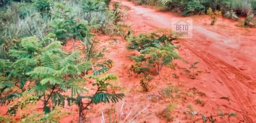 Fazenda Dupla Aptidão na zona rural de Fortaleza dos Nogueiras – MA