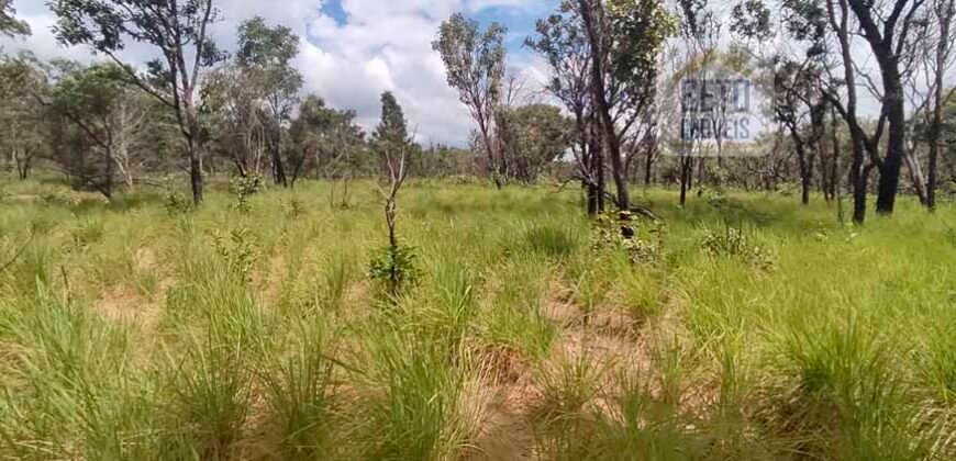 Fazenda Dupla Aptidão na zona rural de Fortaleza dos Nogueiras – MA