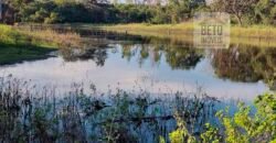 Fazenda Dupla Aptidão na zona rural de Fortaleza dos Nogueiras – MA