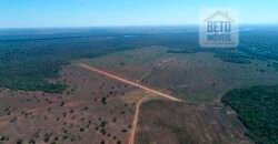 Fazenda com 4.694,8 hectares Dupla Aptidão | Região do Peixe – TO