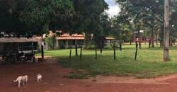 Fazenda com 4.694,8 hectares Dupla Aptidão | Região do Peixe – TO