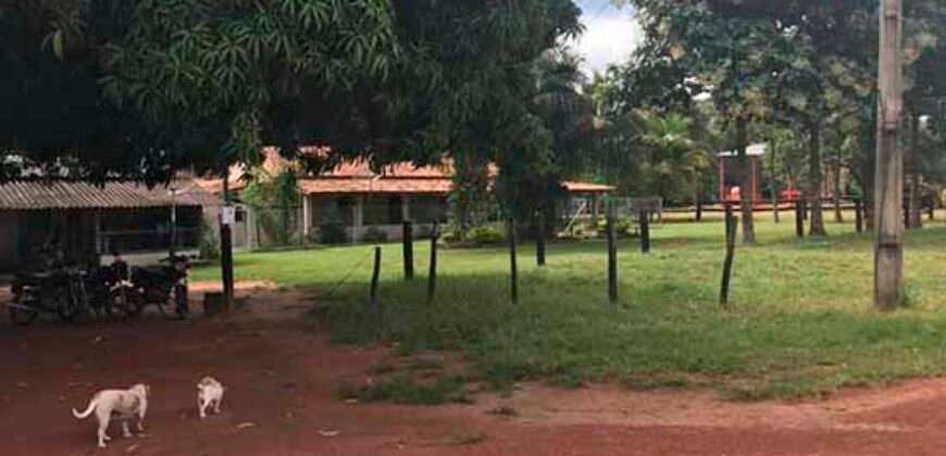 Fazenda com 4.694,8 hectares Dupla Aptidão | Região do Peixe – TO