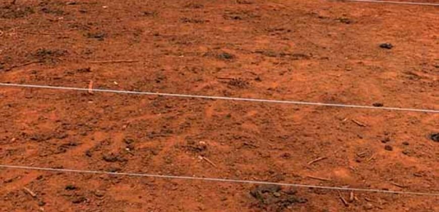 Fazenda com 4.694,8 hectares Dupla Aptidão | Região do Peixe – TO