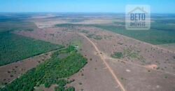 Fazenda com 4.694,8 hectares Dupla Aptidão | Região do Peixe – TO