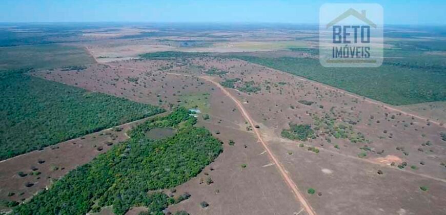 Fazenda com 4.694,8 hectares Dupla Aptidão | Região do Peixe – TO
