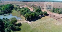 Fazenda com 4.694,8 hectares Dupla Aptidão | Região do Peixe – TO