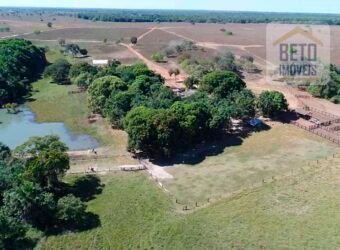 Fazenda com 4.694,8 hectares Dupla Aptidão | Região do Peixe – TO
