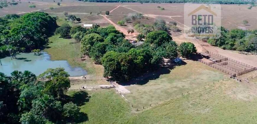 Fazenda com 4.694,8 hectares Dupla Aptidão | Região do Peixe – TO