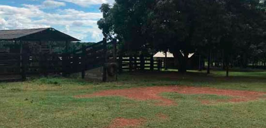 Fazenda com 4.694,8 hectares Dupla Aptidão | Região do Peixe – TO