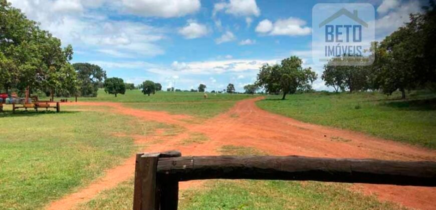 Fazenda com 4.694,8 hectares Dupla Aptidão | Região do Peixe – TO