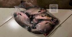 Fazenda para Lavoura 1350 alqueires | Área Rural de Marabá – PA