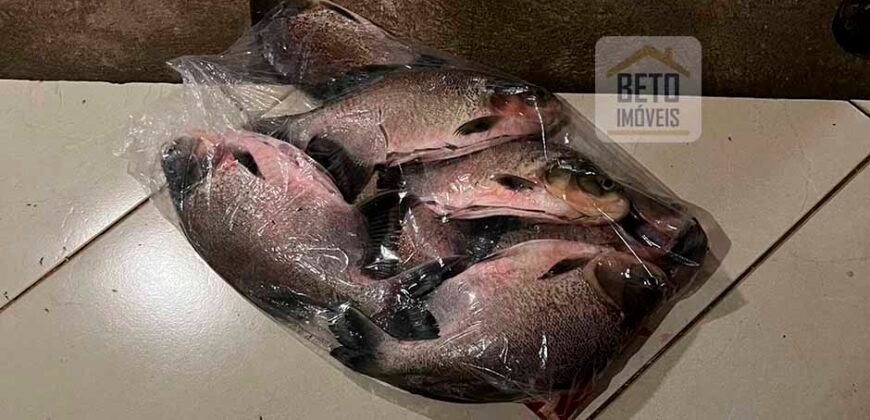 Fazenda para Lavoura 1350 alqueires | Área Rural de Marabá – PA