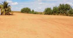 Fazenda p/ Lavoura1200 hectares | Sorriso – MT