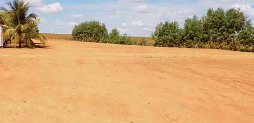 Fazenda p/ Lavoura1200 hectares | Sorriso – MT