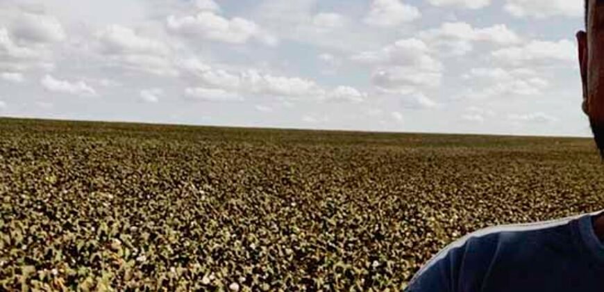 Fazenda p/ Lavoura1200 hectares | Sorriso – MT