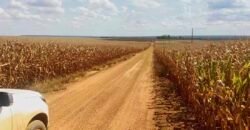 Fazenda p/ Lavoura1200 hectares | Sorriso – MT