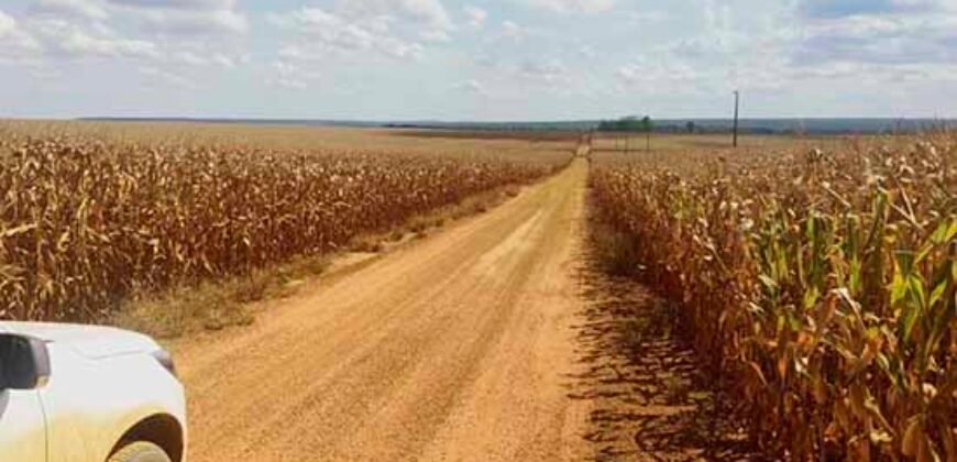 Fazenda p/ Lavoura1200 hectares | Sorriso – MT