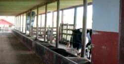 Excelente Fazenda Dupla Aptidão 576,5 Alqueires | Capão Bonito-SP