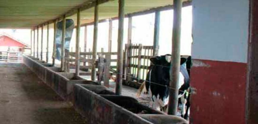 Excelente Fazenda Dupla Aptidão 576,5 Alqueires | Capão Bonito-SP