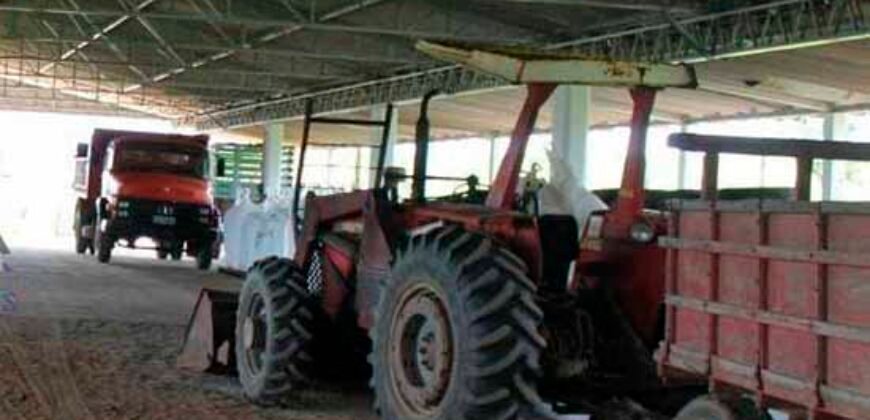 Excelente Fazenda Dupla Aptidão 576,5 Alqueires | Capão Bonito-SP